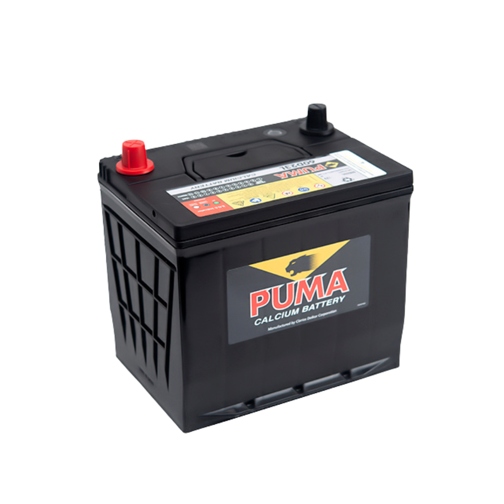 Ắc quy Puma 60D23L (60Ah; 420CCA)